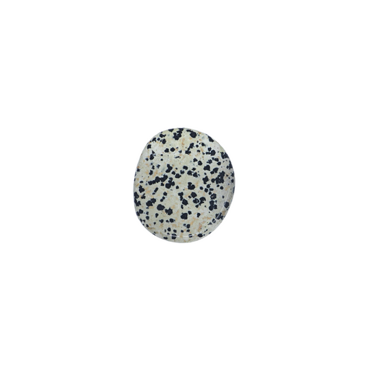 Dalmatian Jasper Phone Grip