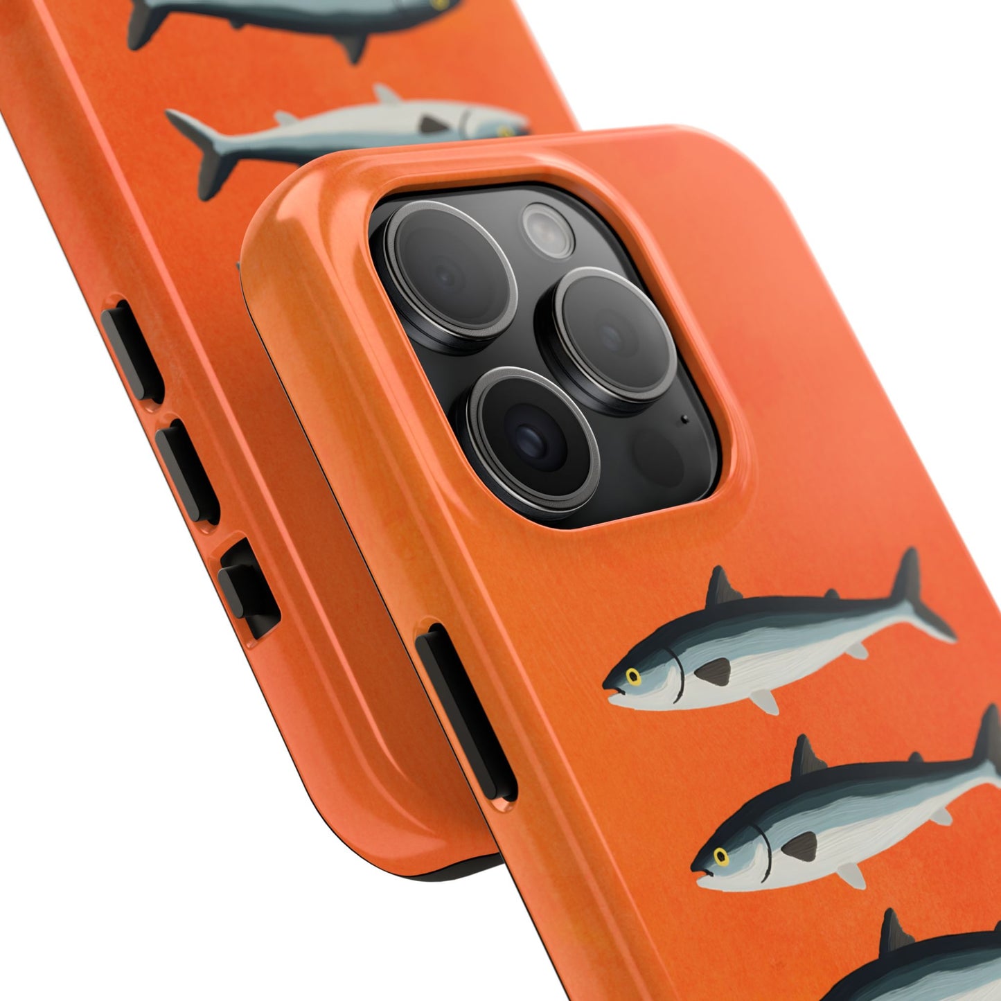 Sardine Catch