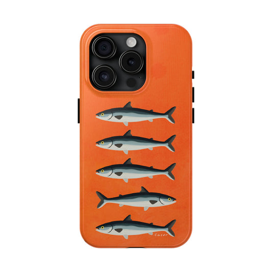 Sardine Catch