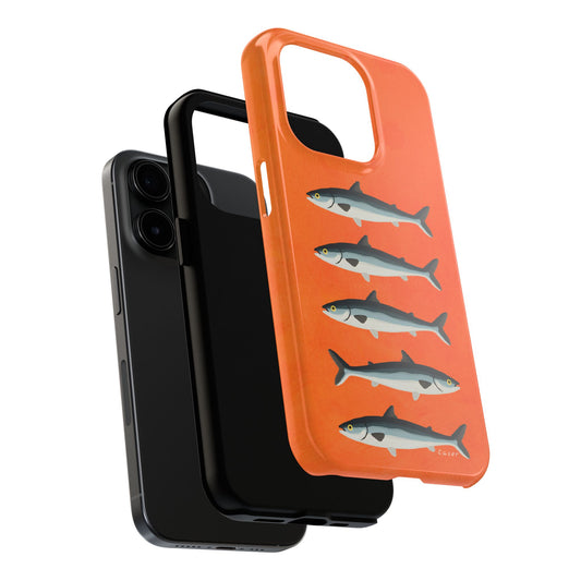 Sardine Catch